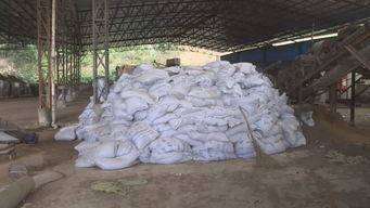 平和 責(zé)令眾興畜禽無(wú)害化處理公司立即整改