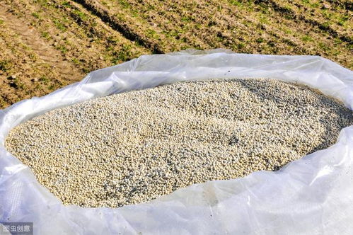 警惕 國家根本不承認這種肥料,可有人卻在大肆宣傳 到底什么情況