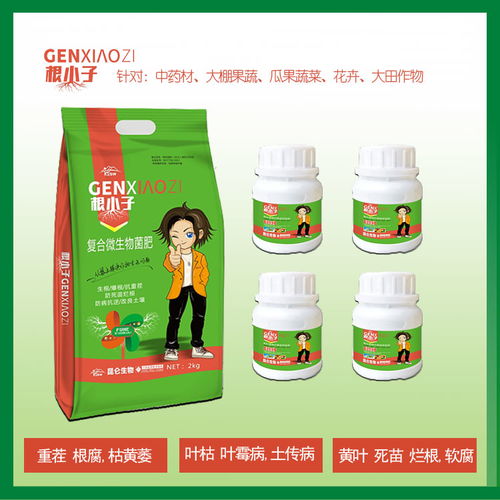 【中藥材黨參壯根膨大,中藥材黨參壯根靈藥,中藥材當(dāng)歸壯根膨大】- 