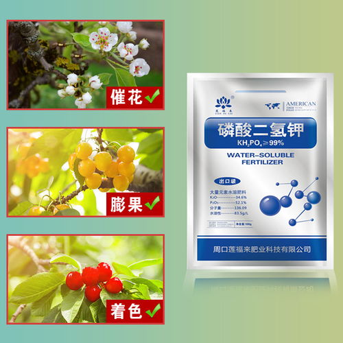 正品葉面肥 通用型花卉肥料，促花促果，家用大包裝包郵首選