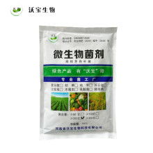 2021年微生物肥料市場(chǎng)行情深度解析 價(jià)格、報(bào)價(jià)與批發(fā)渠道探秘